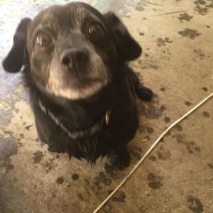 Meet your Posher, Joanne